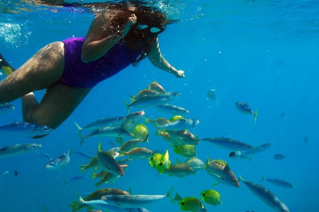ko Olina Snorkel Tour
