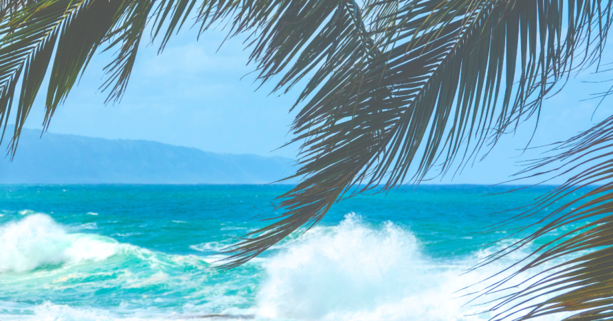 North Shore Oahu Day Trip: The Complete Guide (2026)