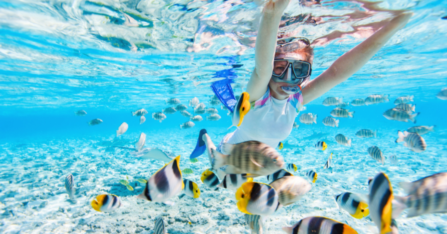 Best Snorkeling on Oahu (2026): Top Spots for Every Level
