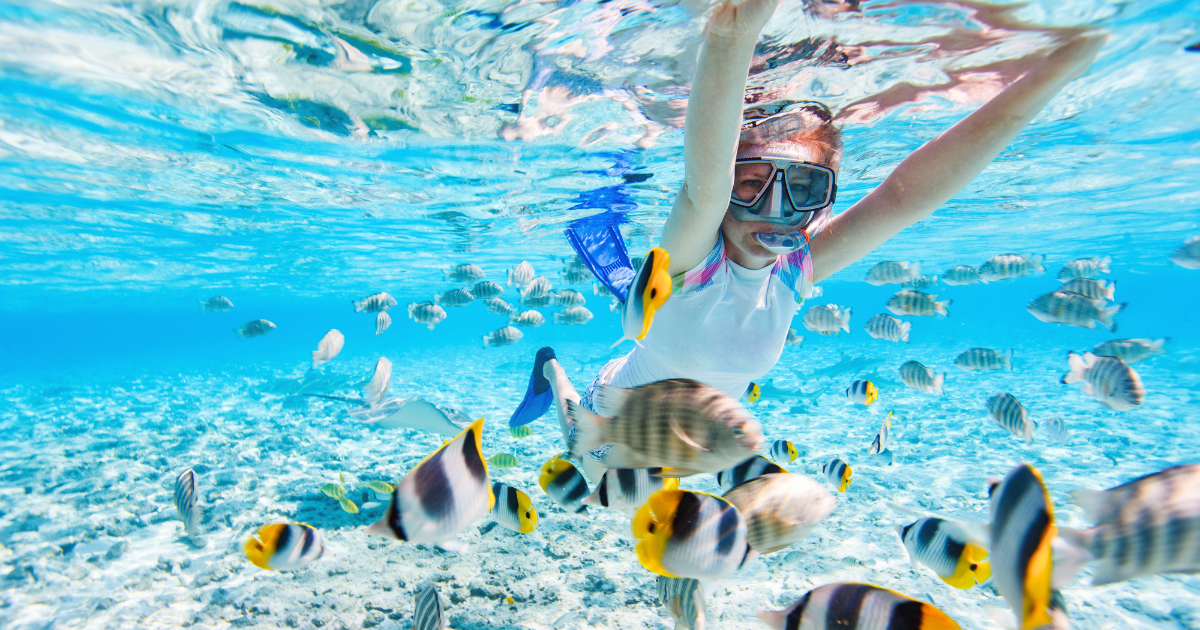 best snorkeling oahu